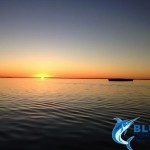 Sunset Skipper Chad Mills Abrolhos Islands