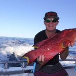 Darren Coronation trout Abrolhos Islands fishing 2016