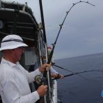 dhu fish nice size WA fishing charter Abrolhos Islands fishing 2016 