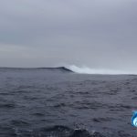 Abrolhos Islands WA 