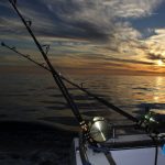 Marlin fishing WA fishing charter